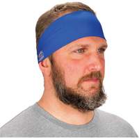 Chill-Its 6634 Cooling Headband, Blue Cintas