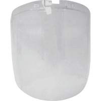 &eacute;cran antibrouillard de remplacement de la s&eacute;rie DP4, Polycarbonate, Teinte Transparent Cintas