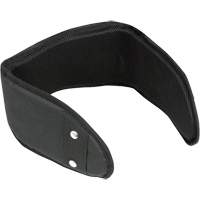 WB-6006 Padded Lumbar Support for Belt - Universal Cintas