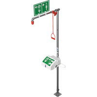 Combination Shower with Closed ABS Bowl & Bottom Inlet, Pedestal Cintas
