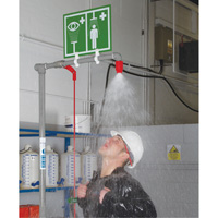 Combination Shower with Closed ABS Bowl & Top Inlet, Pedestal Cintas