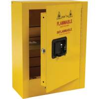 Mini Flammable Safety Cabinet, 2 Gal., 1 Door, 17" W x 22" H x 8" D Cintas
