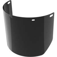 Lentille de rechange pour visi&egrave;re compl&egrave;te sans rev&ecirc;tement, Polycarbonate, Teinte 5,0 Cintas
