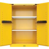 Armoire de s&eacute;curit&eacute; pour produits inflammables Utili-Guard+, 45 gal., 2 Porte(s), 43" La x 65" h x 22" p Cintas