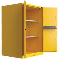 Armoire de s&eacute;curit&eacute; pour produits inflammables Utili-Guard+, 45 gal., 2 Porte(s), 43" La x 65" h x 22" p Cintas