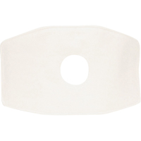 North&reg; Replacement Filter, Particulate Filter, N99 Filter Cintas