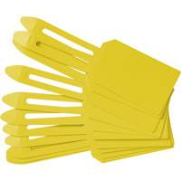 &eacute;tiquettes de cadenassage vierges en plastique, Plastique, 3-1/4" la x 5-4/5" h, Vierge Cintas