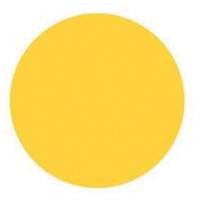 Round Write-On Labels, Circle, 3" L x 3" W, Yellow Cintas