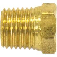 Pipe Plug (Hex Head), 1/2" Dia., Brass Cintas