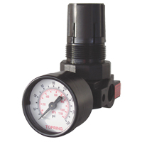 Mini Regulators, 1/4" NPT, 165 PSI Max. PSI, Modular Cintas