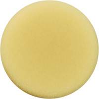 Polishing Pad, 3" Dia. Cintas