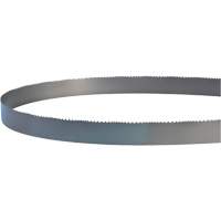 Welded Bandsaw Blade, Bi-Metal, 14' L x 1" W x 4 - 6 TPI Cintas