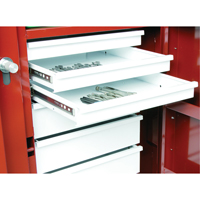 Rolling Work Bench, 49-7/8" W x 40-5/8" H x 26-7/8" D, 24.6 Cubic Feet Capacity Cintas