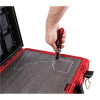 Customizable Foam Insert Cintas