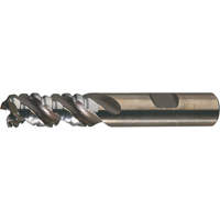 CLEVELAND PM Plus Single End Roughers, Powder Metal, 3-Flute, Centre Cutting, Square End, 3/4" Dia. Cintas