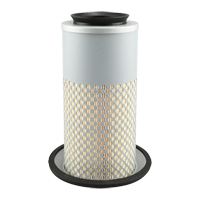 PA3833 Air Element Cintas