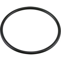G438 Buna-N O-Ring Cintas