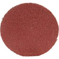 Disque 361F Roloc, 1-1/2" dia., Grain P100, Oxyde d'aluminium Cintas
