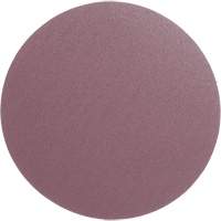 PSA Cloth Disc 348D, 12" Dia., 60 Grit, Aluminum Oxide, X-Weight Cintas