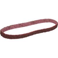 Scotch-Brite Surface Conditioning Belt Cintas