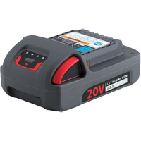 Batterie de s&eacute;rie IQV20, Lithium-ion, 20 V, 2,5 Ah Cintas