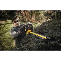 Taille-haie sans fil Max, 22", 20 V, &agrave; pile Cintas