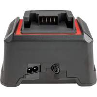 2.5 Ah & 5.0 Ah Battery Charger, 120 V, Lithium-Ion Cintas