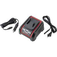 2.5 Ah & 5.0 Ah Battery Charger, 120 V, Lithium-Ion Cintas