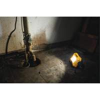 Lampe d'&eacute;clairage direct compact 12V/20V Max, DEL, 2000 Lumens Cintas