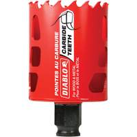 Scie cloche pour bois et m&eacute;tal, 2-1/8", Profondeur de la coupe 2-3/8", Carbure Cintas