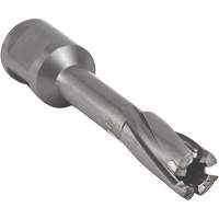 Core Cut Annular Cutter with Weldon Shank, 12 mm Diameter, Carbide, 55 mm Depth of Cut, 3/4" Shank Cintas