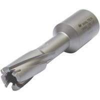 Core Cut Annular Cutter with Weldon Shank, 12 mm Diameter, Carbide, 30 mm Depth of Cut, 3/4" Shank Cintas