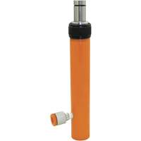 V&eacute;rins hydrauliques, Course de 5", Capacit&eacute; de 4 tonne(s) Cintas
