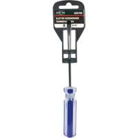 Tournevis &agrave; fente bleu transparent avec bandes, Tige de 3/16", Ronde, Prise en Plastique Cintas