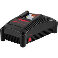 Chargeur de batterie IQV40, 40 V, Lithium-ion Cintas