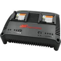 Chargeur universel s&eacute;rie IQV, 12 V/20 V, Lithium-ion Cintas