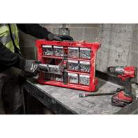 Organisateur PACKOUT &agrave; bac inclinable, 15-1/5" x 19-7/10" x 6-7/10", Noir/Rouge Cintas