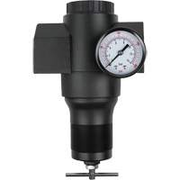 Aluminum Regulator, 1-1/2" NPT, 300 psi Max. PSI, In Line Cintas