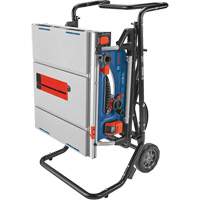 Jobsite Table Saw with Gravity-Rise Wheeled Stand, 120 V, 15 A, 3800 RPM Cintas