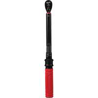 Torque Wrench, Click, 3/8" Square Drive, 20 - 100 in-lbs/27.1 - 135.6 N.m Cintas