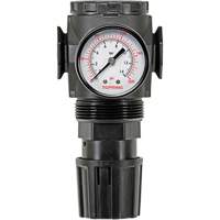 MODULAIR 300 Zinc Diaphragm Regulator, 3/8" NPT, 300 psi Max. PSI, In Line/Modular Cintas