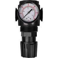 MODULAIR 300 Compressed Air Regulator, 1/2" NPT, 300 psi Max. PSI, In Line/Modular Cintas
