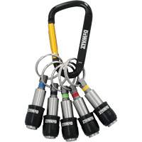 5-Piece Keyring Bit Holder Set Cintas