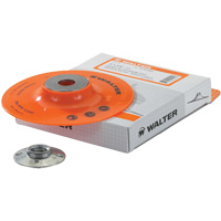 Backing Pad Assembly Cintas