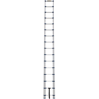 &eacute;chelle t&eacute;lescopique, 3' - 15,5', Aluminium, Capacit&eacute; de 250 lb, Type 1 Cintas