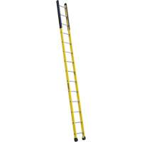 Single Manhole Ladder, 14', Fibreglass, 375 lbs., CSA Grade 1AA Cintas