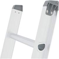&eacute;chelle coulissante Jobsite Series, Cap 225 lb, 32' h, Calibre 2 Cintas