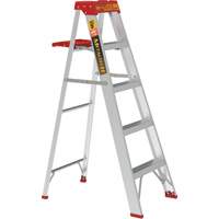 Step Ladder with Paint Tray, 5', Aluminum, 200 lbs. Capacity, Type 3 Cintas