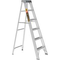Step Ladder, 6', Aluminum, 225 lbs. Capacity, Type 2 Cintas