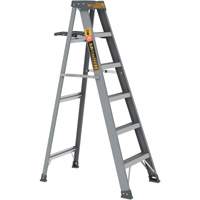 Step Ladder with Paint Tray, 6', Fibreglass, 225 lbs. Capacity, Type 2 Cintas